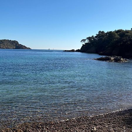 Lavande Centre Ancien Port Plages By Laconciergerie13 拉西约塔 外观 照片